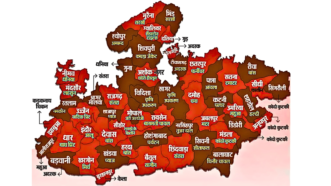 एक जिला, एक उत्पाद: मध्यप्रदेश के प्रमुख उद्योग और विशिष्ट उत्पादों का नक्शा