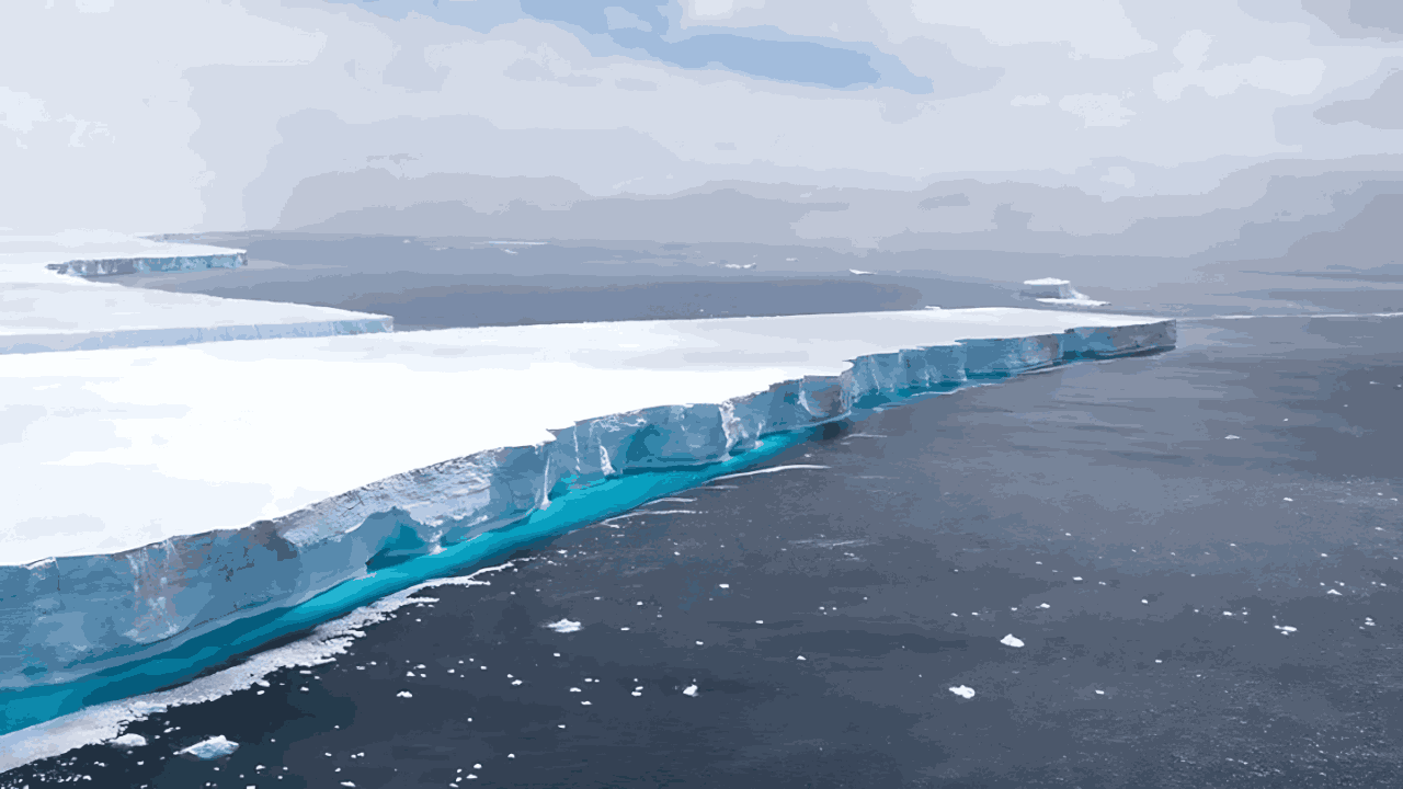 World’s Largest Iceberg A23a: Where Has It Stopped and What’s Next?