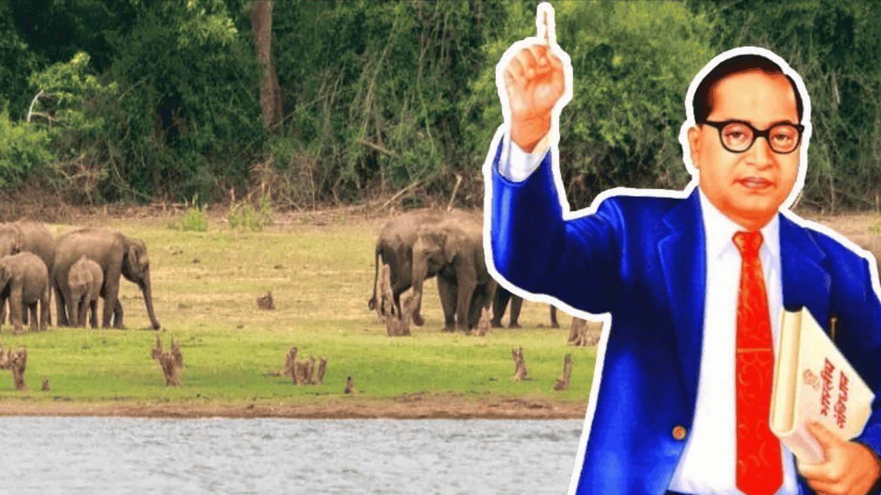 Dr. Bhimrao Ambedkar Wildlife Sanctuary: Madhya Pradesh's 25th Conservation Landmark