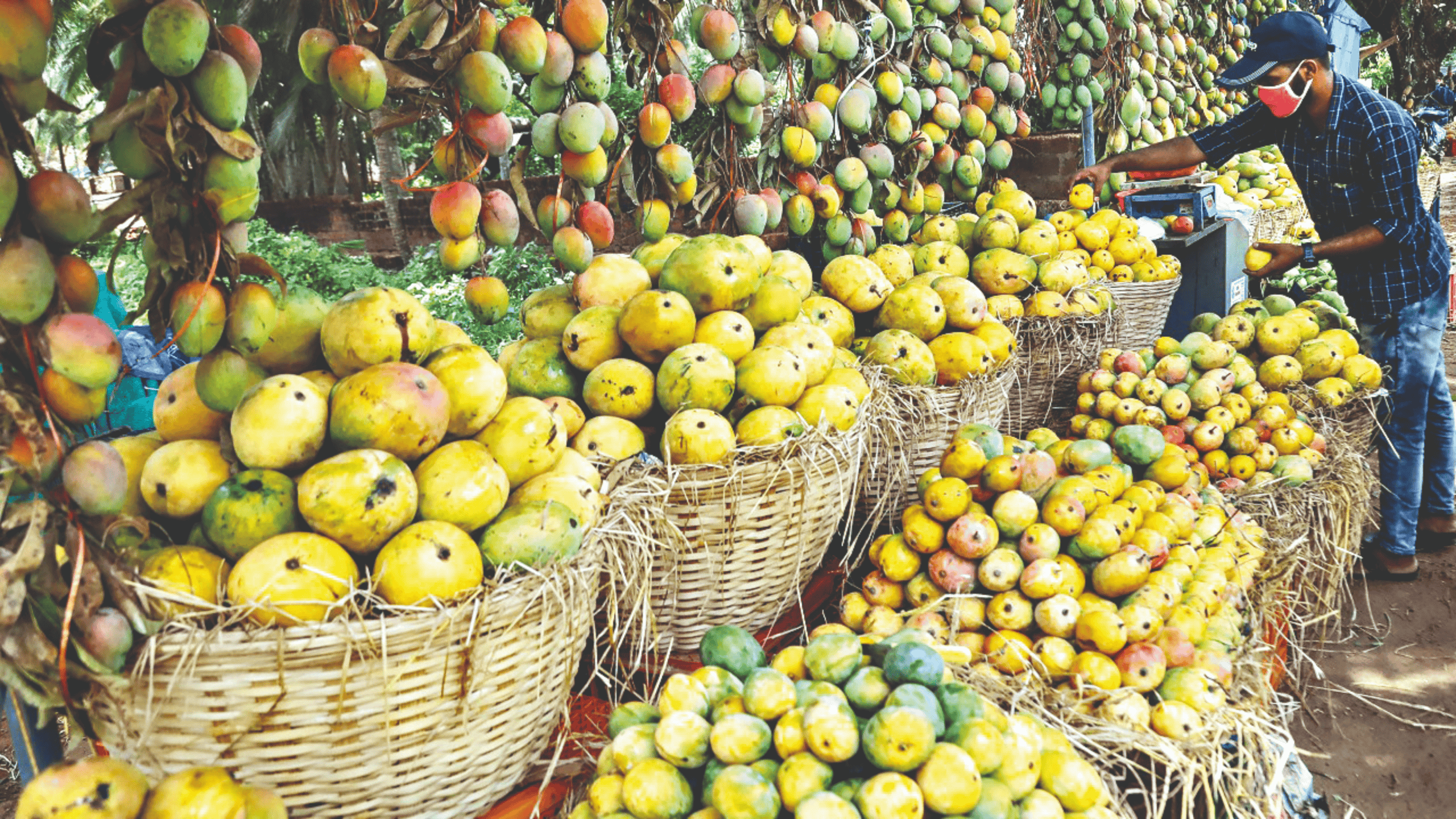 Current Affairs 19 May 2025: Record Organic Mango Production and Global Export from Malda | UPSC Daily GK Update | Atharva Examwise