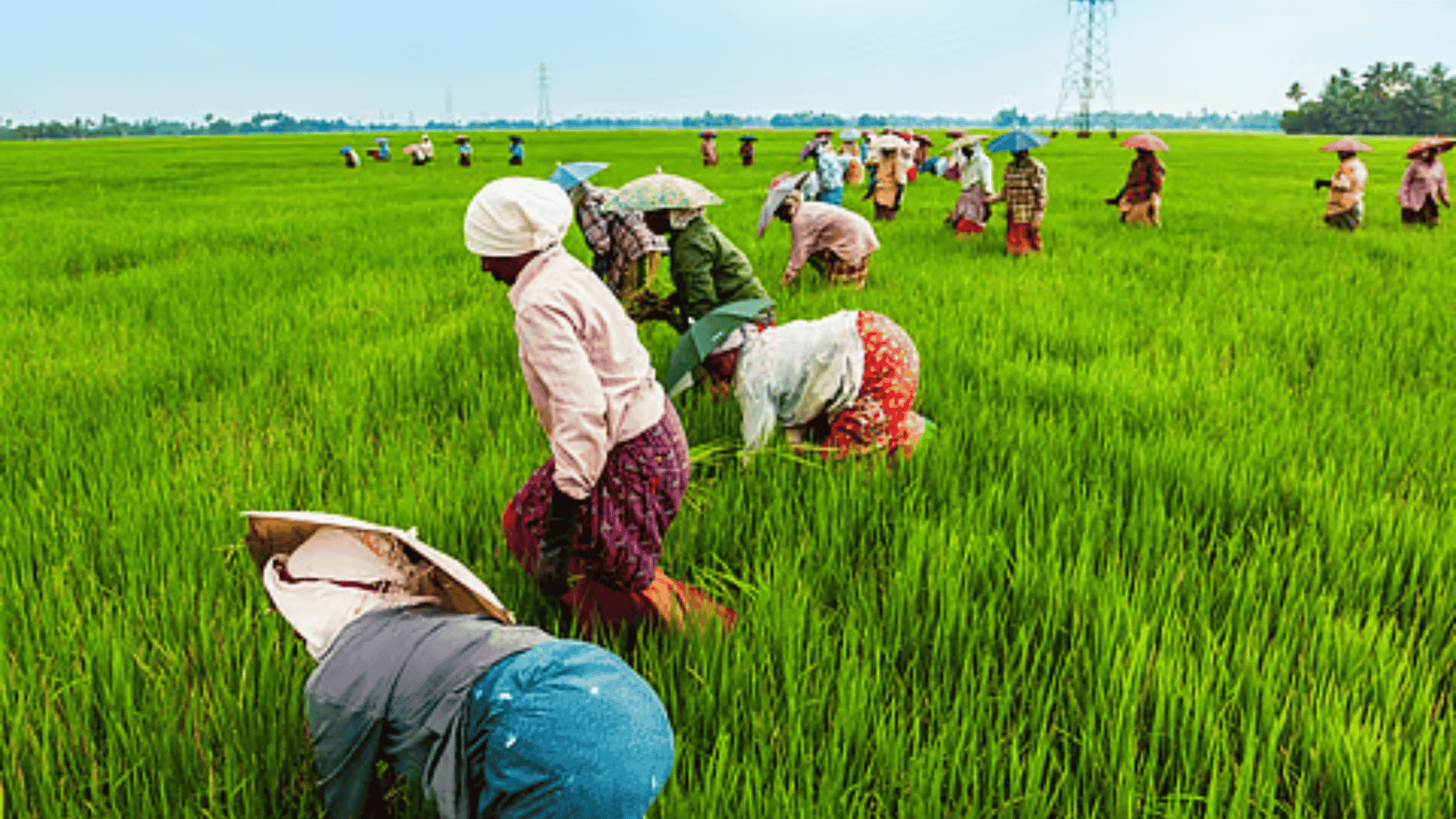 UPSC Current Affairs 23 May 2025: Genome-Edited Rice Varieties Revolutionize Indian Agriculture | Atharva Examwise Daily GK Update