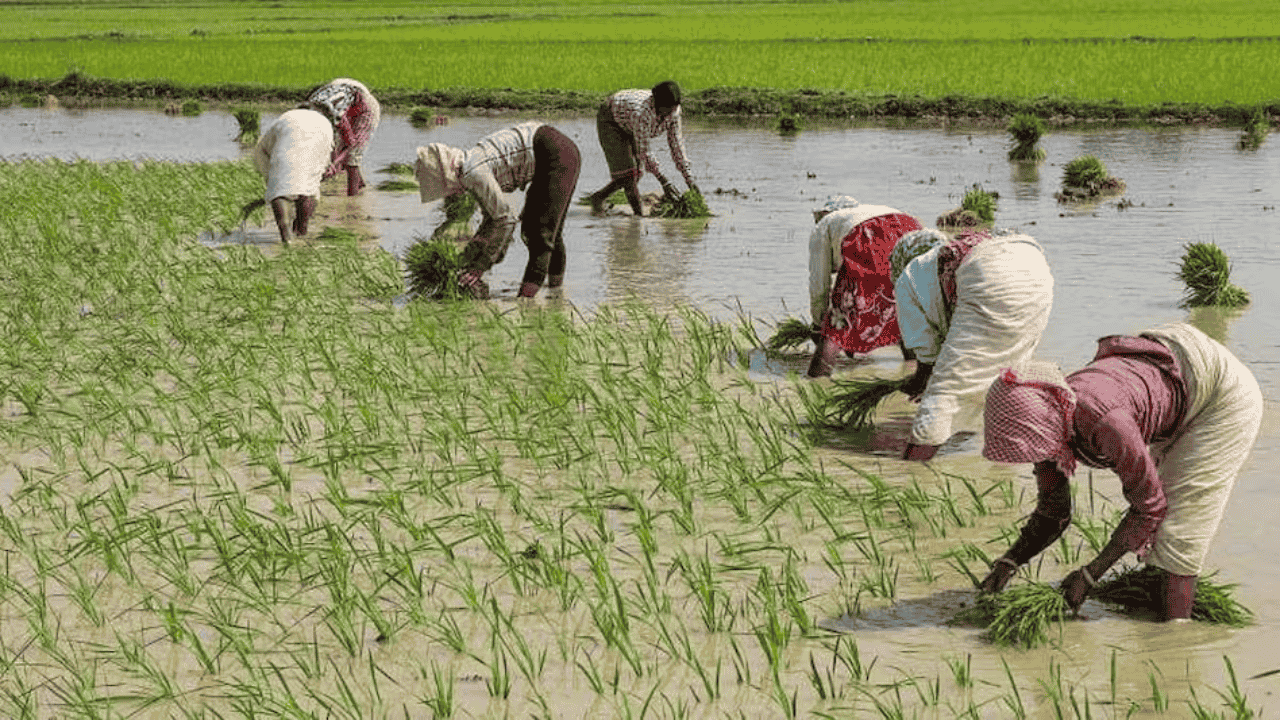 UPSC Current Affairs 30 October 2025 – Rice Cultivation’s Methane Emissions Spur Climate Concern | Atharva Examwise Daily GK Update