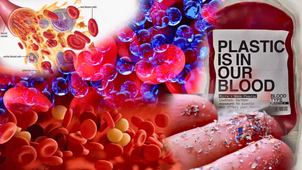 UPSC Current Affairs March 2026: Entry of Nanoplastics into Blood and Brain – A Comprehensive Research Report on Human Health and Global Environmental Policy