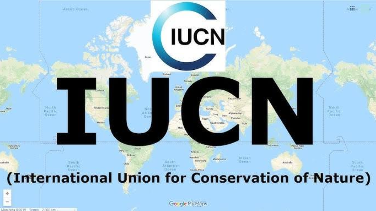 यूपीएससी करेंट अफेयर्स 5 अक्टूबर 2026: आईयूसीएन (IUCN) संरचना, रेड लिस्ट फ्रेमवर्क और वैश्विक संरक्षण शासन | अथर्व एग्जामवाइज़ डेली जीके अपडेट