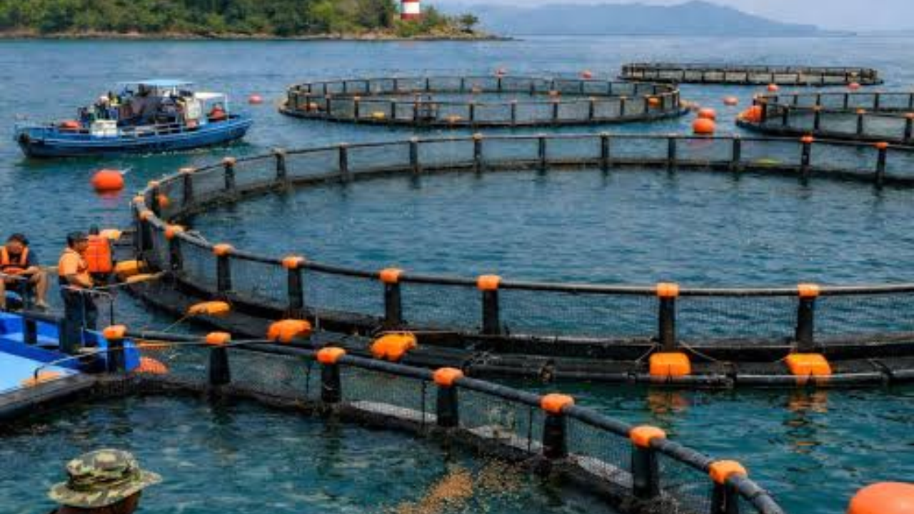 UPSC Current Affairs October 17, 2026: India Approves Accession to SIOFA for High-Seas Fishing | Atharva Examwise Daily GK Update